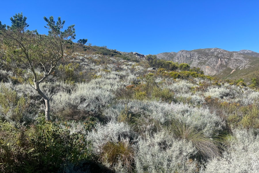 0 Bedroom Property for Sale in Franschhoek Rural Western Cape